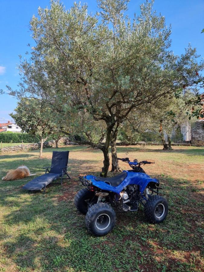 Pharos Zambratija (Istria)